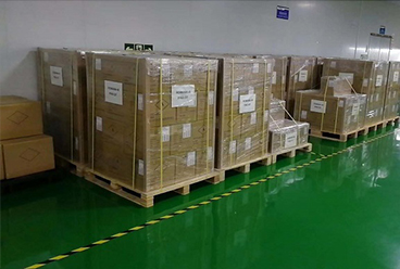 Our Company Enlarge Export to the PoE Market in Eu