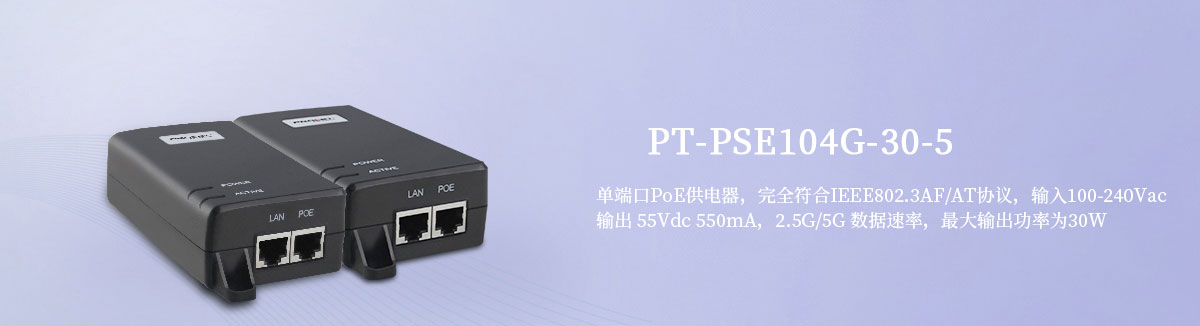 PT-PSE104G-30-5 千兆电源适配器